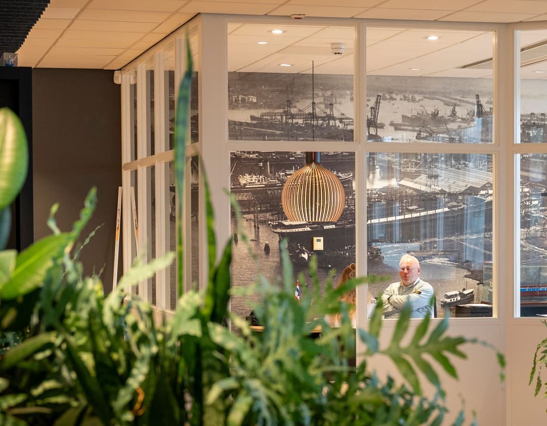 De groei van Wilson op RDM